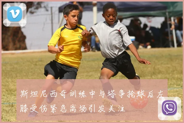 斯坦尼西奇训练中与塔争抢球后左膝受伤紧急离场引发关注