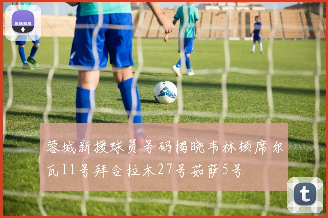 蓉城新援球员号码揭晓韦林顿席尔瓦11号拜合拉木27号茹萨5号