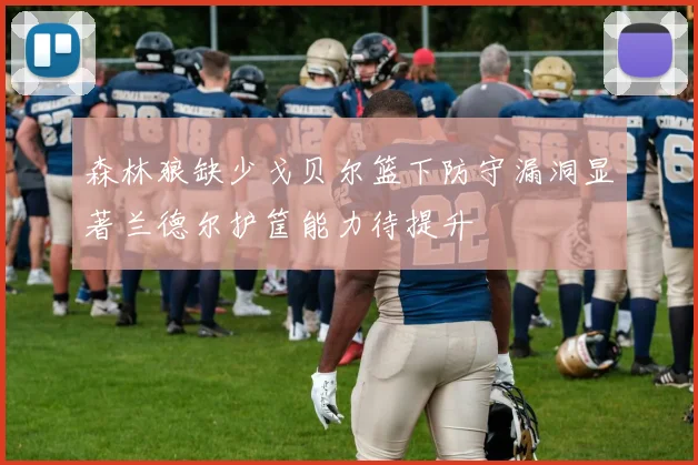 森林狼缺少戈贝尔篮下防守漏洞显著兰德尔护筐能力待提升